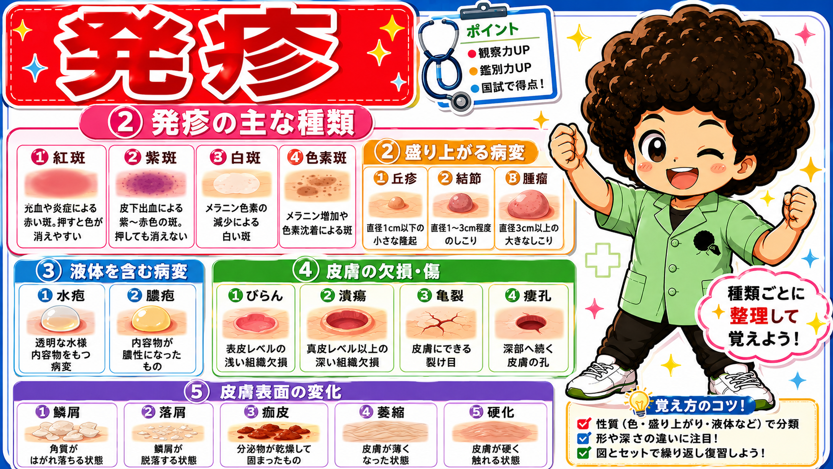 発疹の主な種類を5系統（色の変化・隆起・液体・欠損・表面変化）に整理