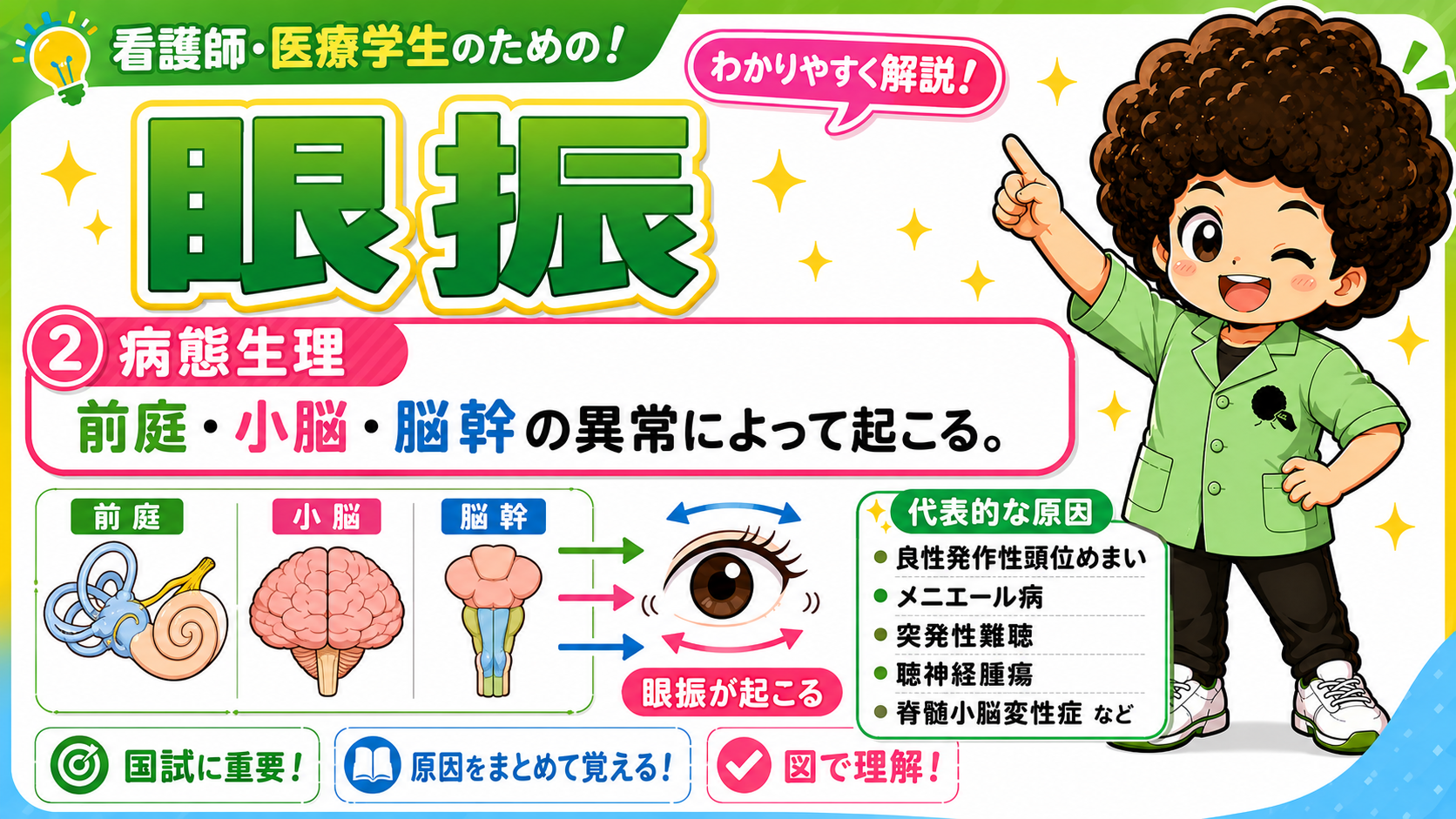 前庭・小脳・脳幹の異常により眼振が生じる