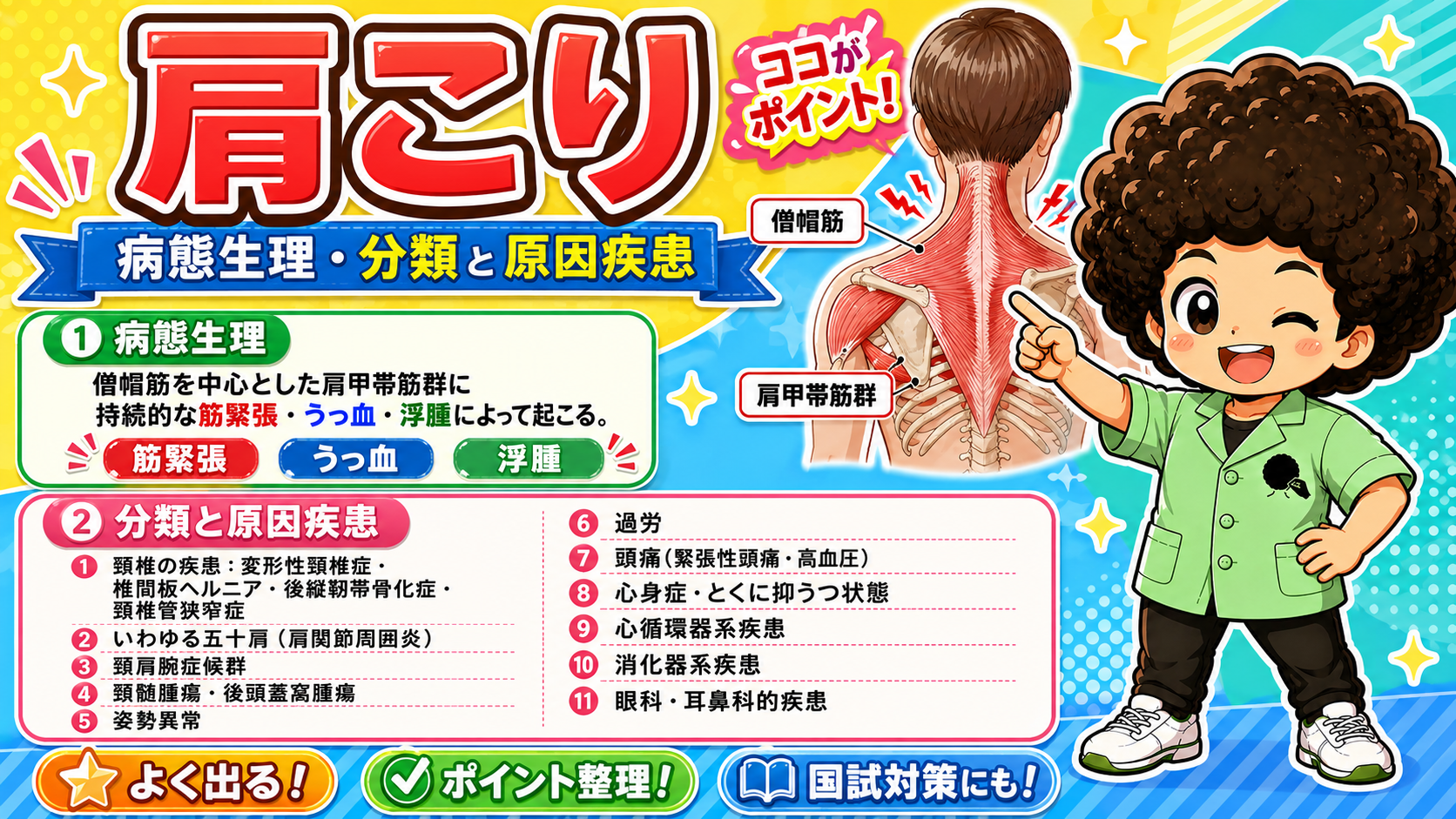 肩こりの病態生理と分類・原因疾患（僧帽筋・肩甲帯筋群）
