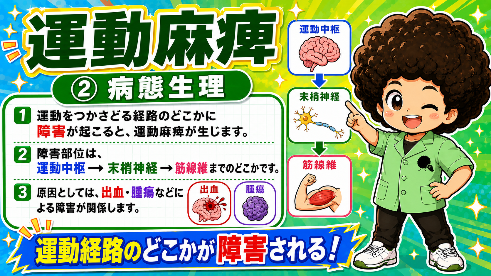 運動麻痺の病態生理：運動中枢→末梢神経→筋線維のどこかが障害される