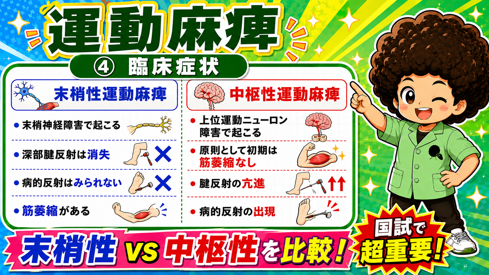 末梢性 vs 中枢性運動麻痺の臨床症状比較