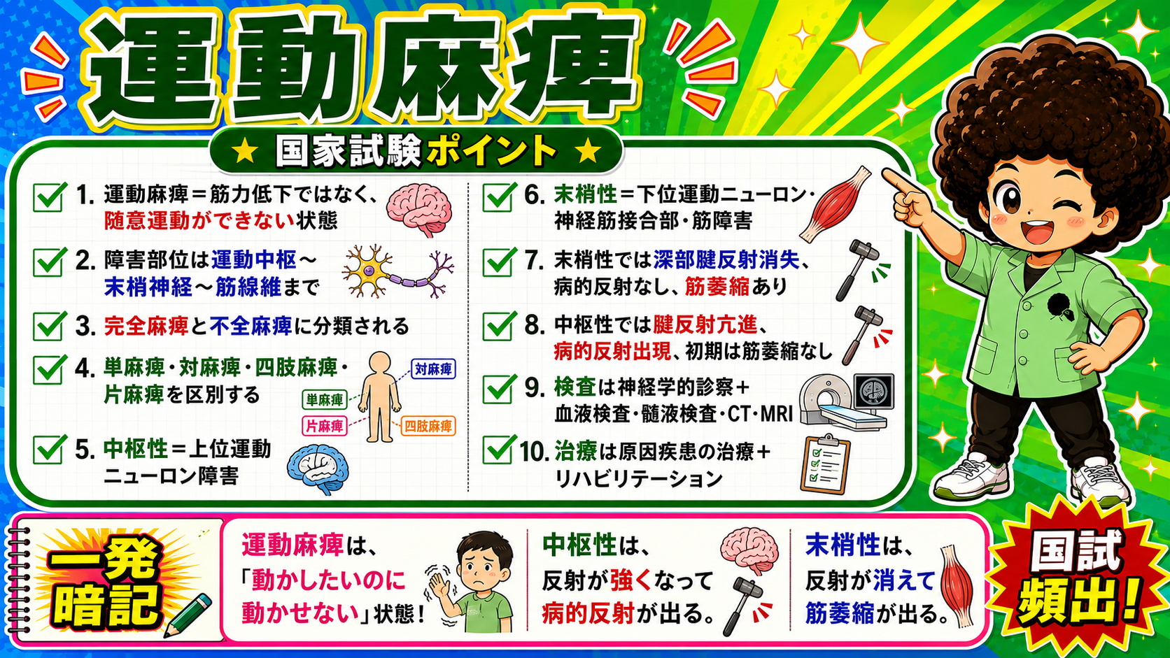 運動麻痺の国家試験ポイント10項目（一発暗記）