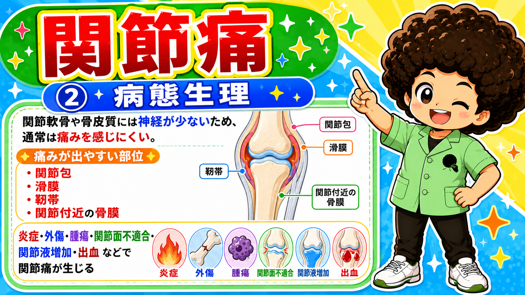 関節軟骨・骨皮質は痛みを感じにくく、関節包・滑膜・靱帯・骨膜が痛みを出す