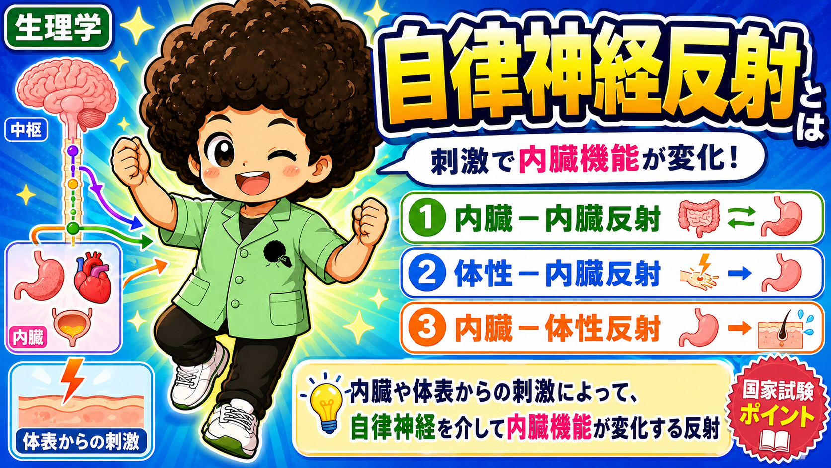 自律神経反射は内臓－内臓／体性－内臓／内臓－体性の3種類