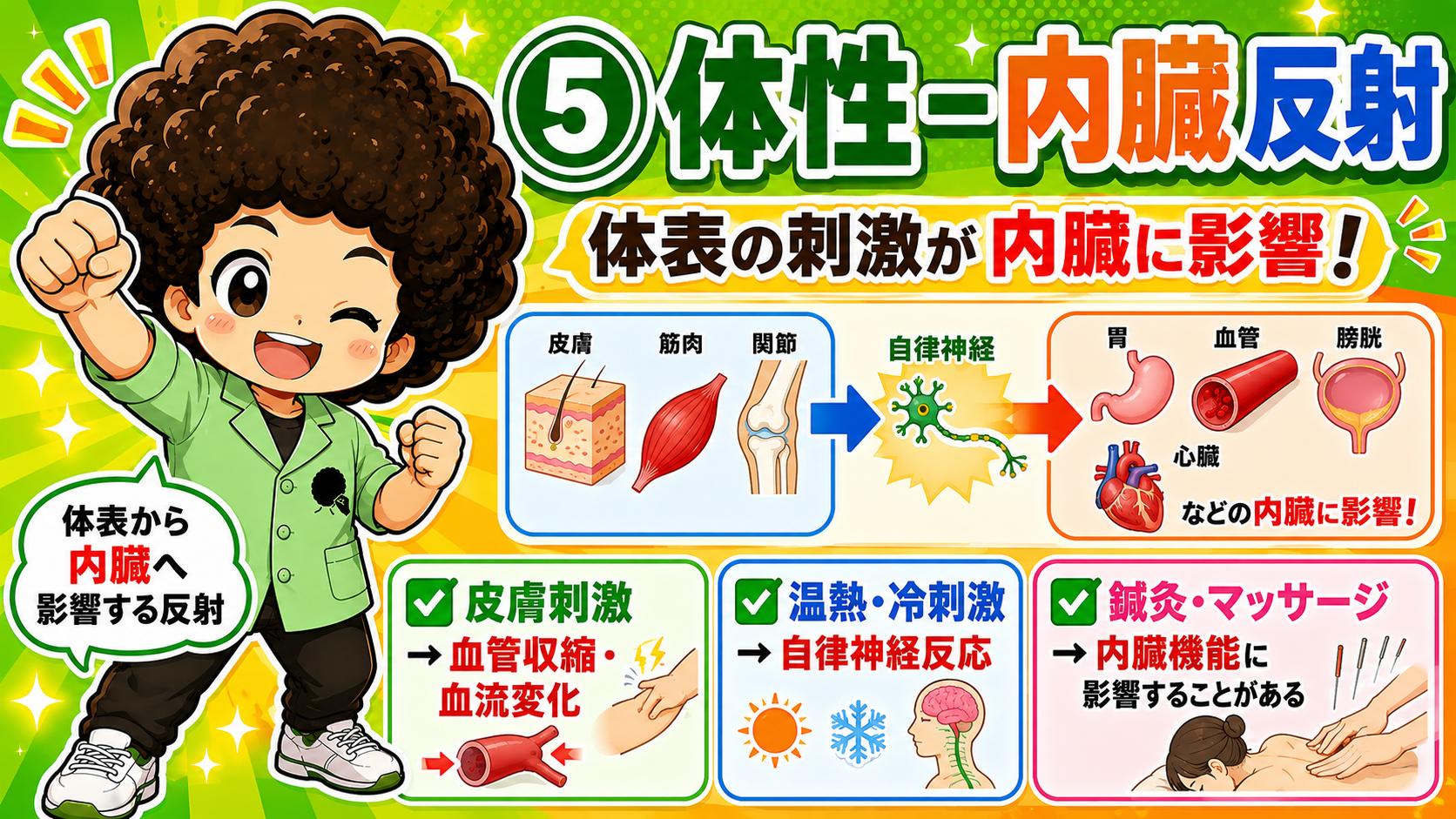 体表（皮膚・筋・関節）への刺激が自律神経を介して内臓に影響する体性－内臓反射