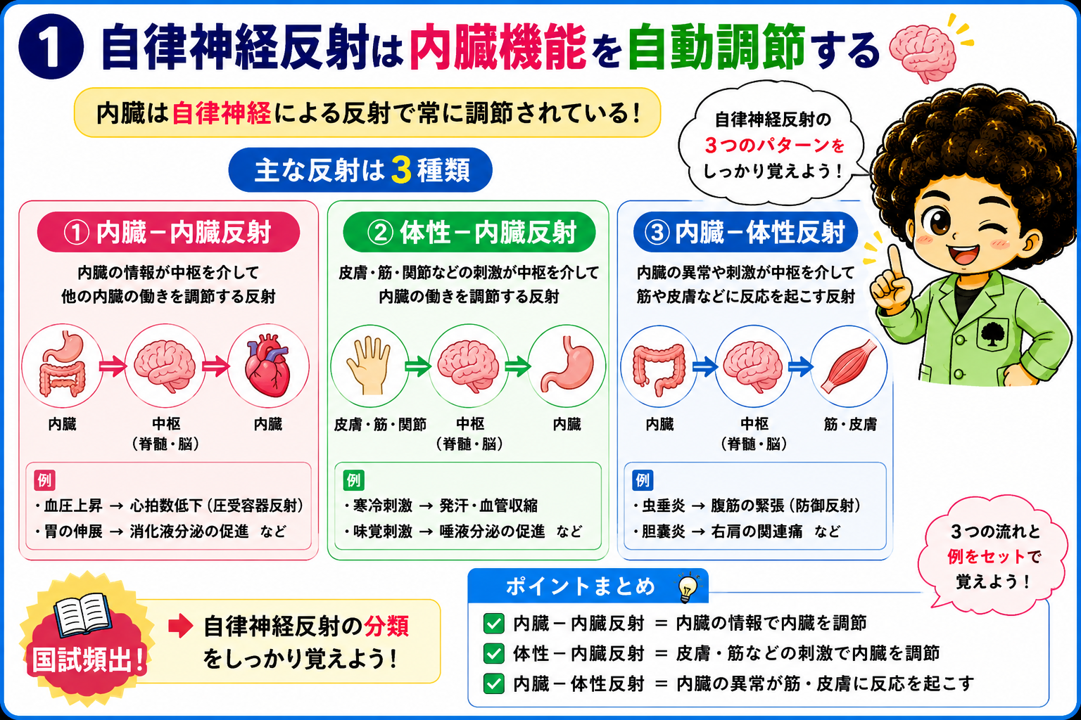 自律神経を介する反射｜自律神経を介する反射 1