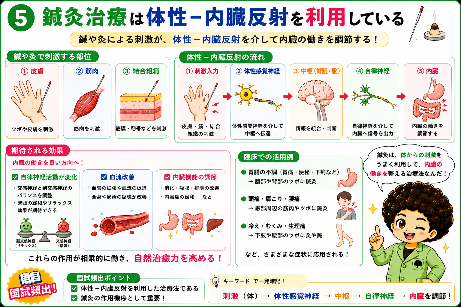 鍼灸の作用機序＝体性-内臓反射の利用