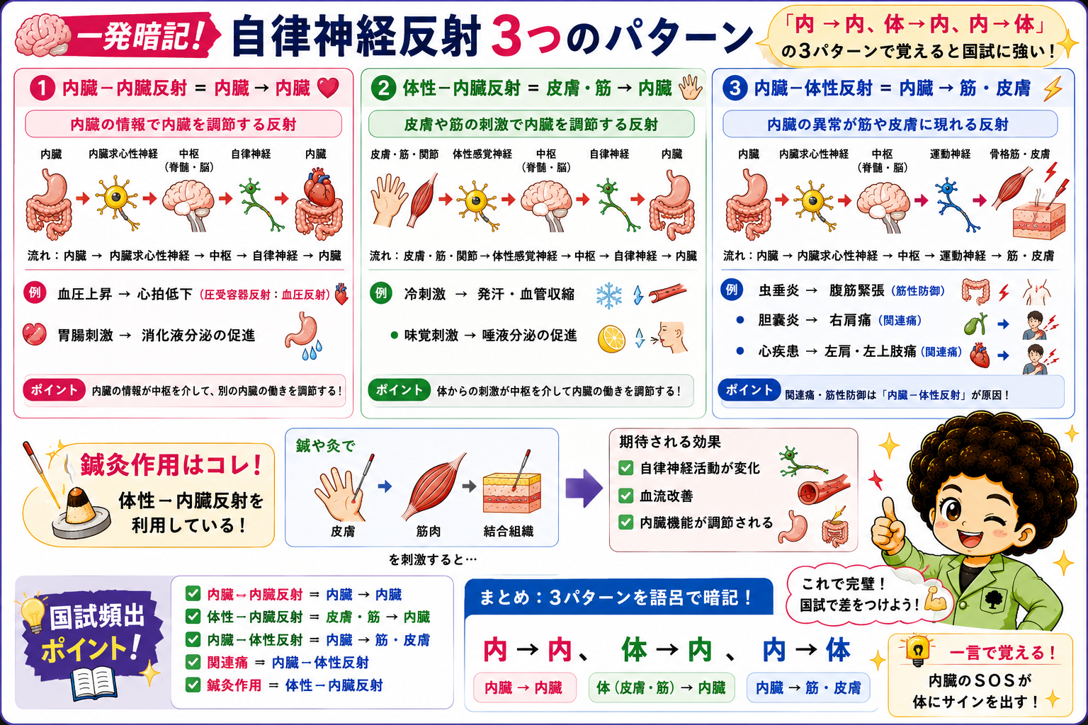 自律神経反射3パターンの一発暗記まとめ