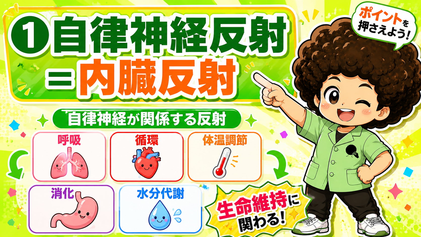 自律神経反射｜自律神経反射 1