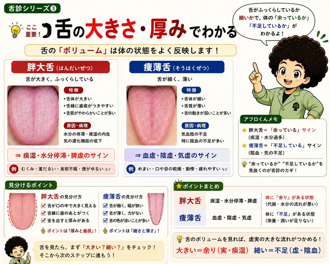 舌の大きさ・厚みでわかる ― 胖大舌（余りのサイン）と痩薄舌（不足のサイン）