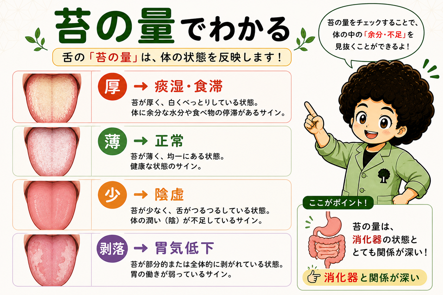 苔の量でわかる ― 厚（痰湿・食滞）・薄（正常）・少（陰虚）・剥落（胃気低下）
