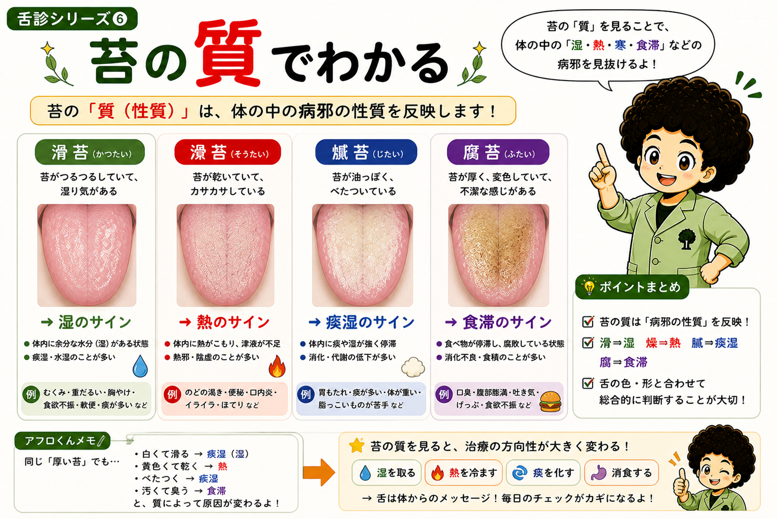 苔の質でわかる ― 滑苔（湿）・燥苔（熱）・膩苔（痰湿）・腐苔（食滞）