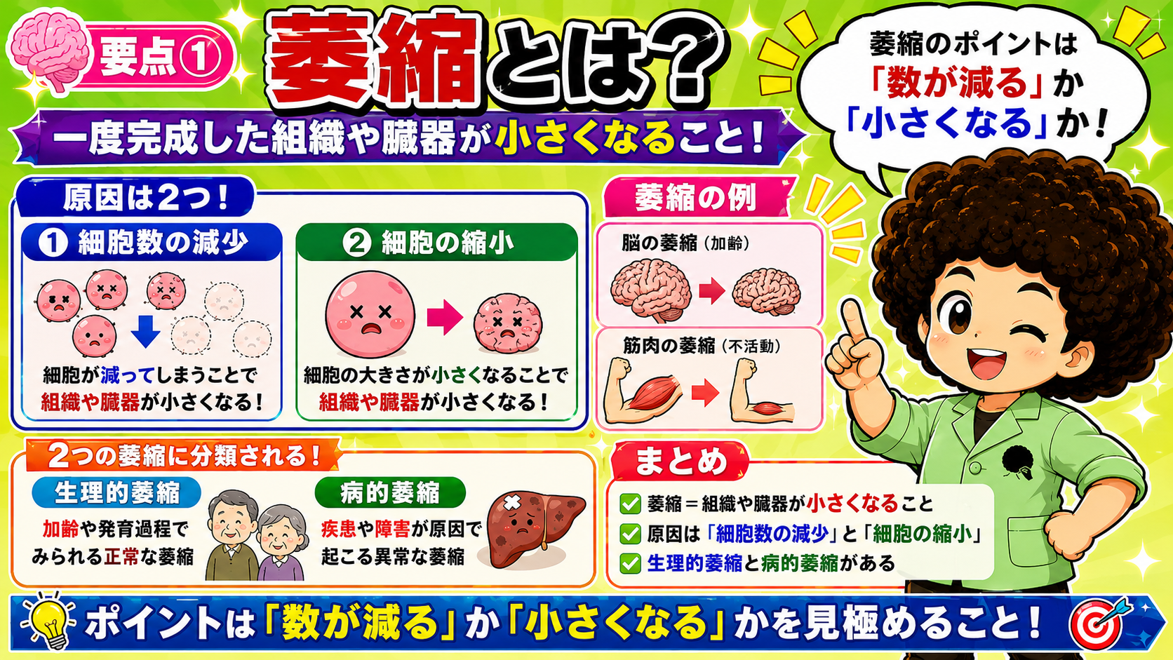 萎縮｜萎縮 1