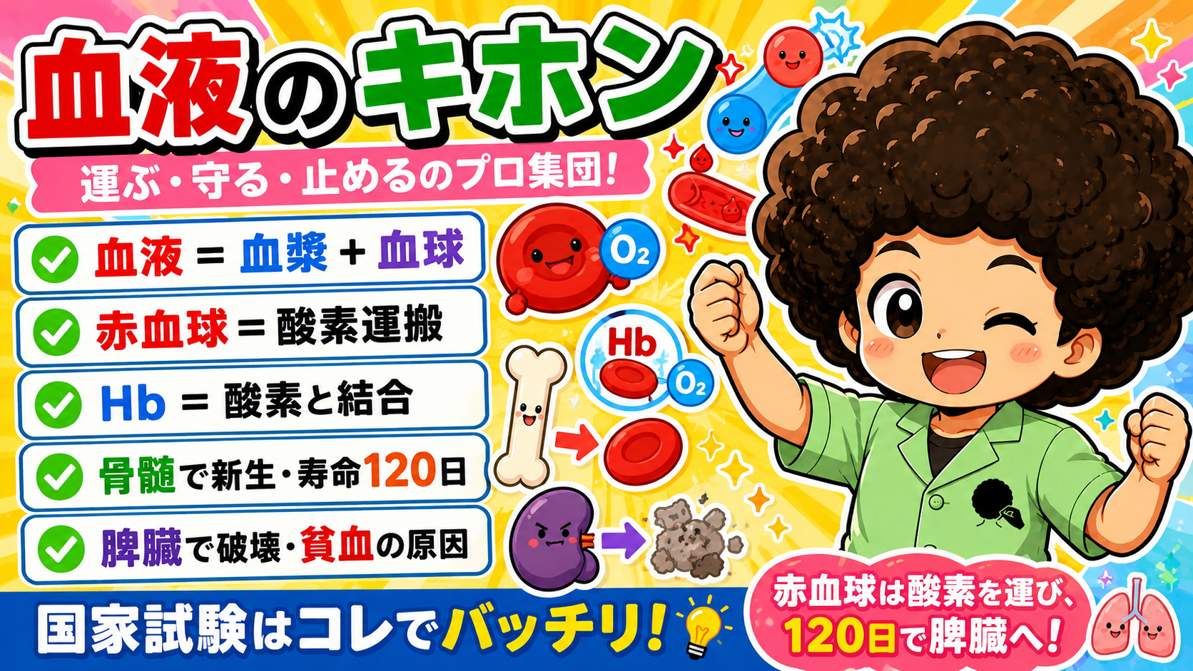 血液のキホン｜血液のキホン 1