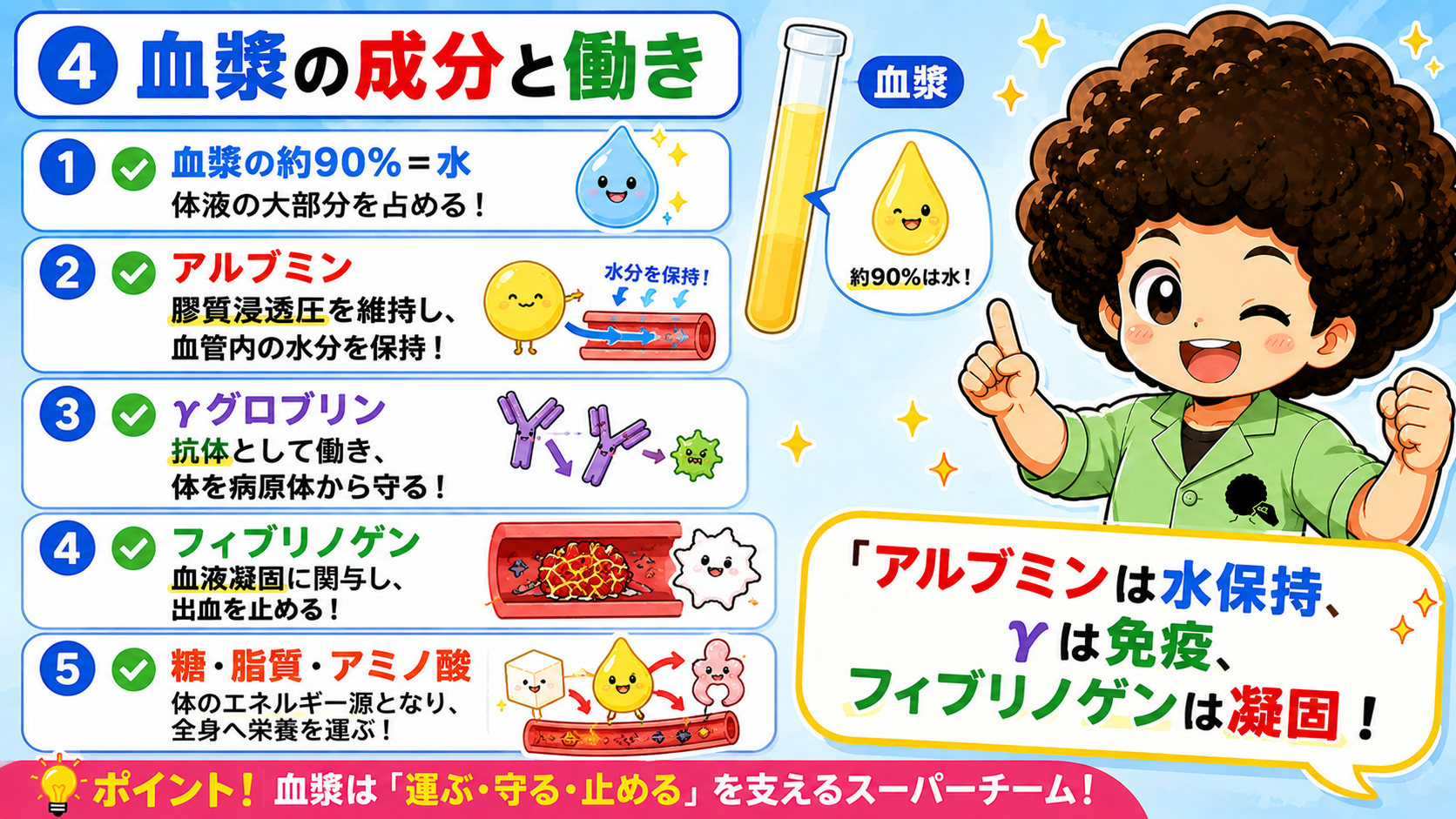 血漿の成分と働き：約90％は水、アルブミン＝膠質浸透圧、γグロブリン＝抗体、フィブリノゲン＝凝固