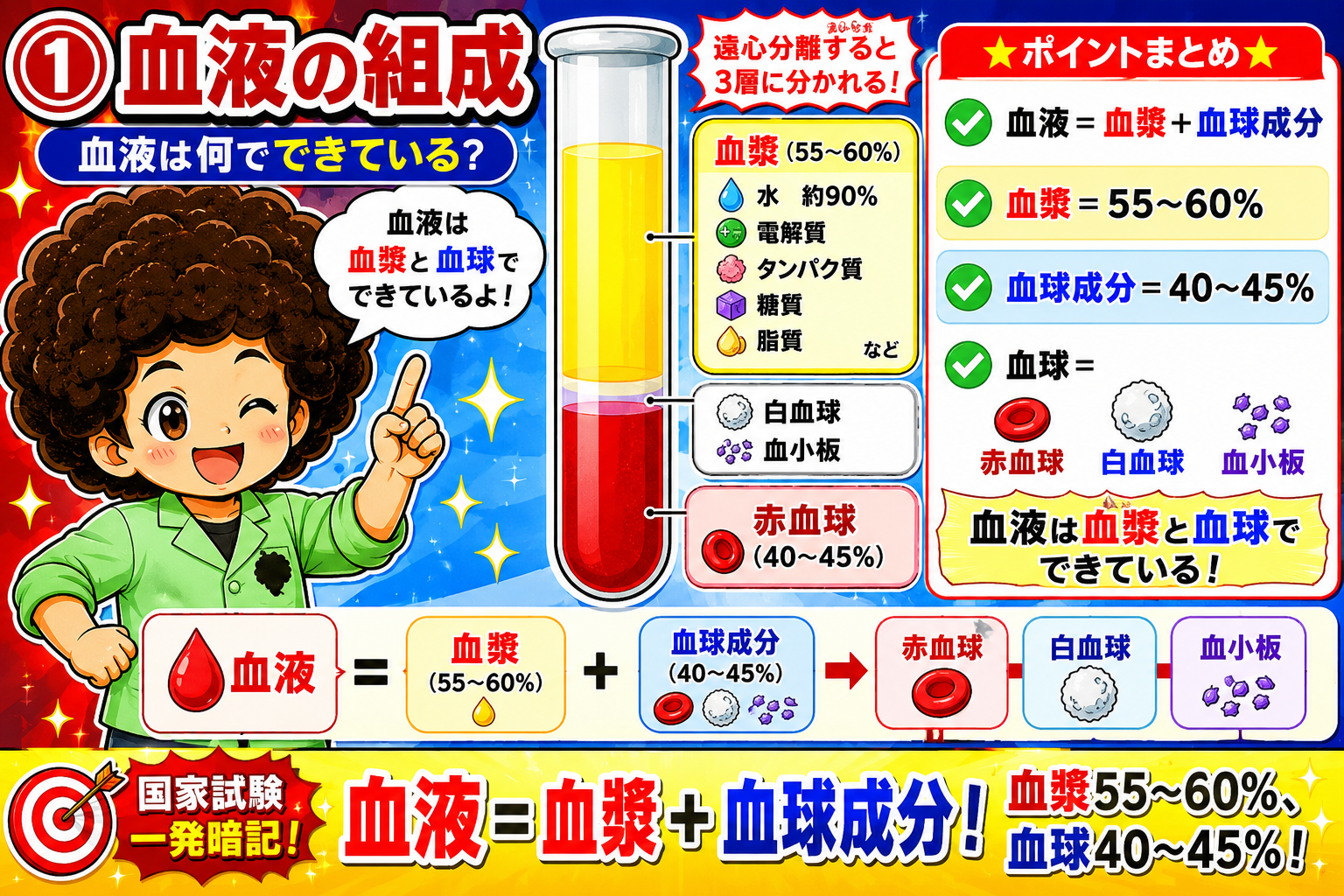 血液の組成｜血液の組成 1