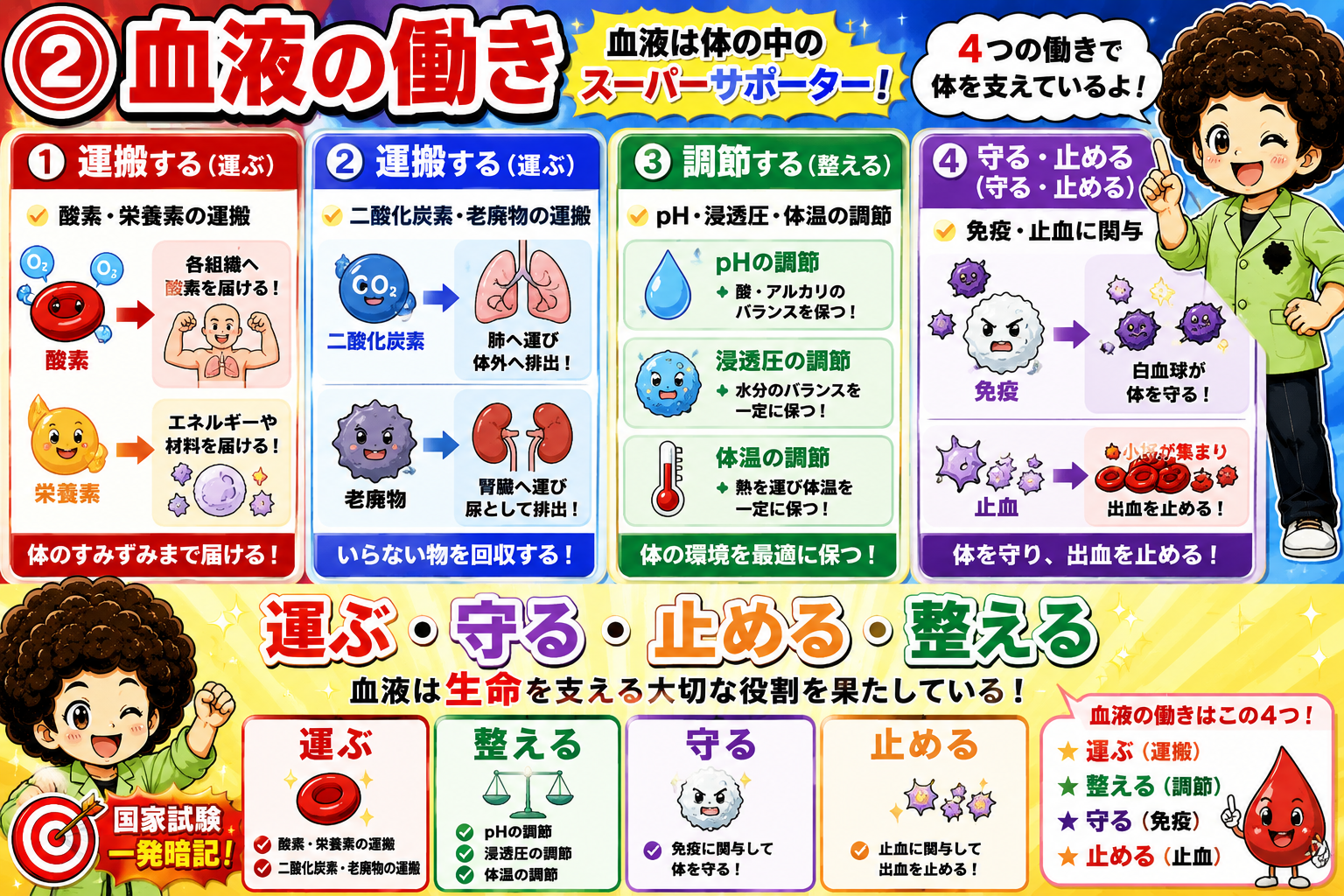 血液の4つのはたらき：運ぶ・整える・守る・止める