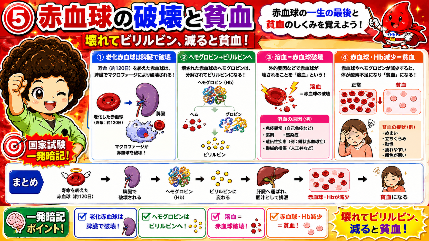 壊れてビリルビン、減ると貧血