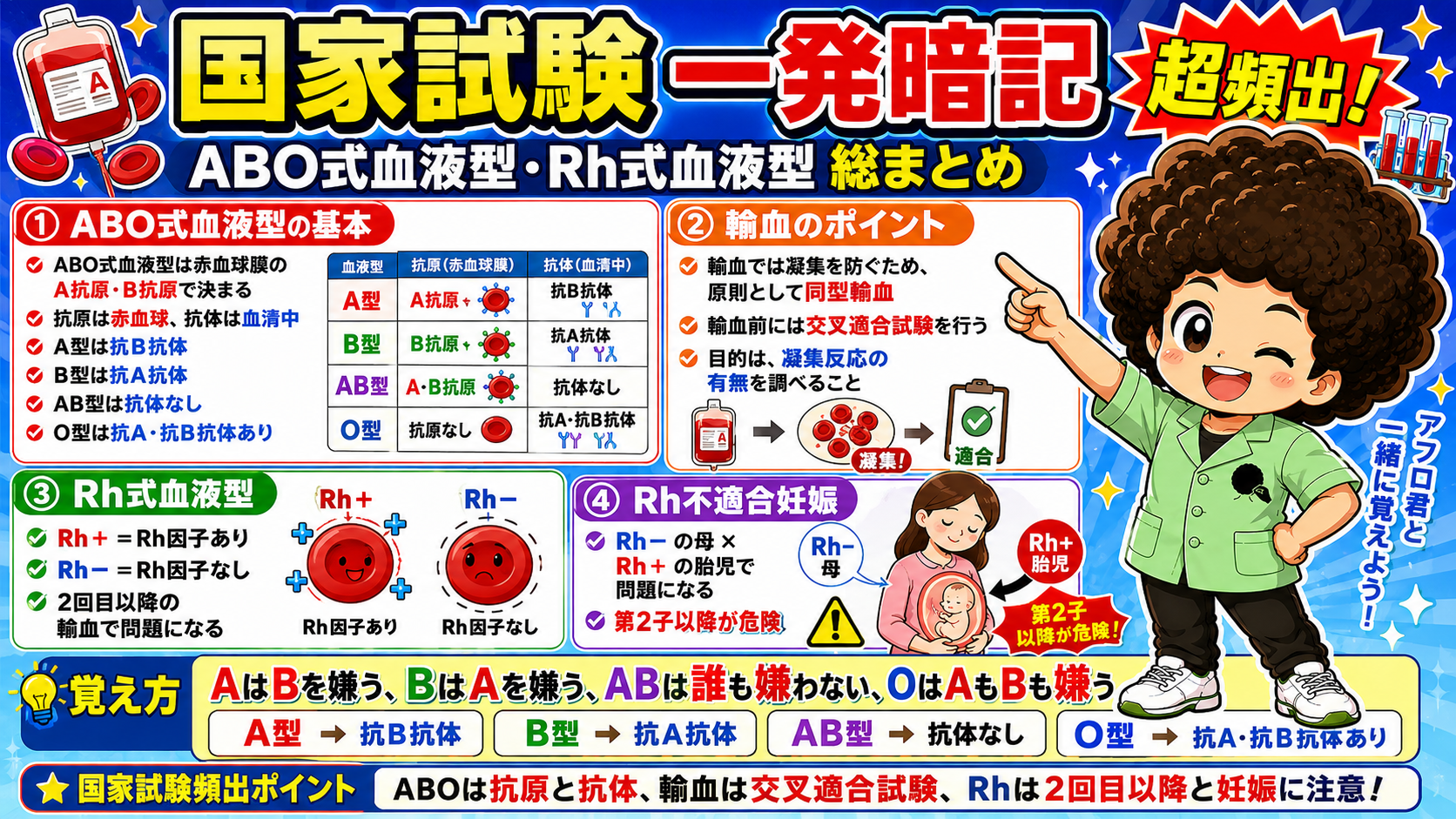 血液型と凝集反応｜血液型と凝集反応 1