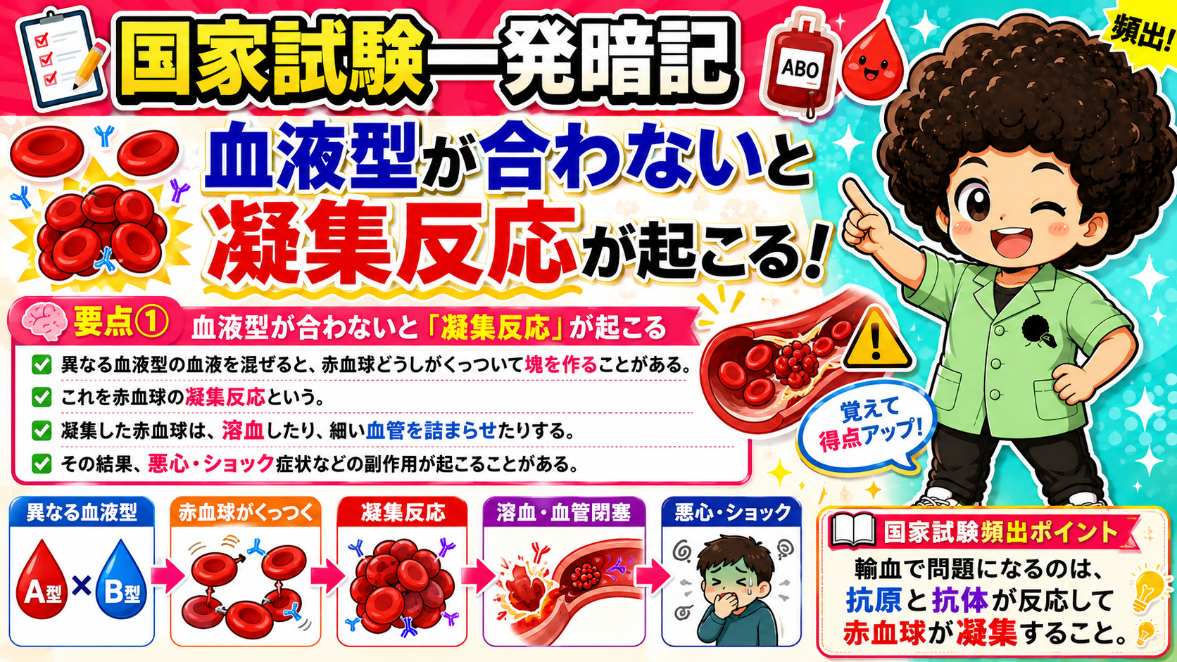血液型が合わないと凝集反応が起こる流れ