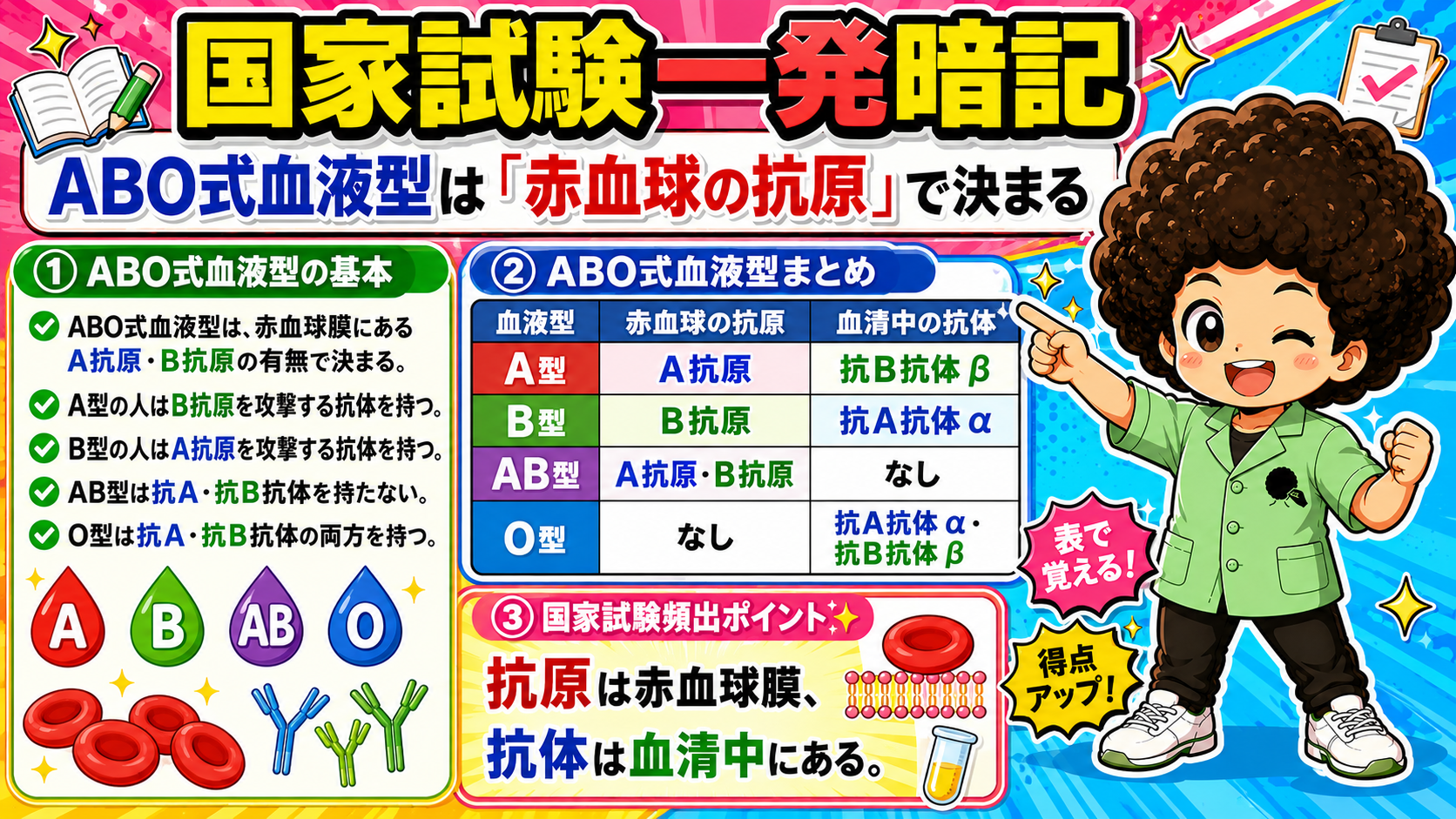 ABO式血液型の抗原と抗体のまとめ