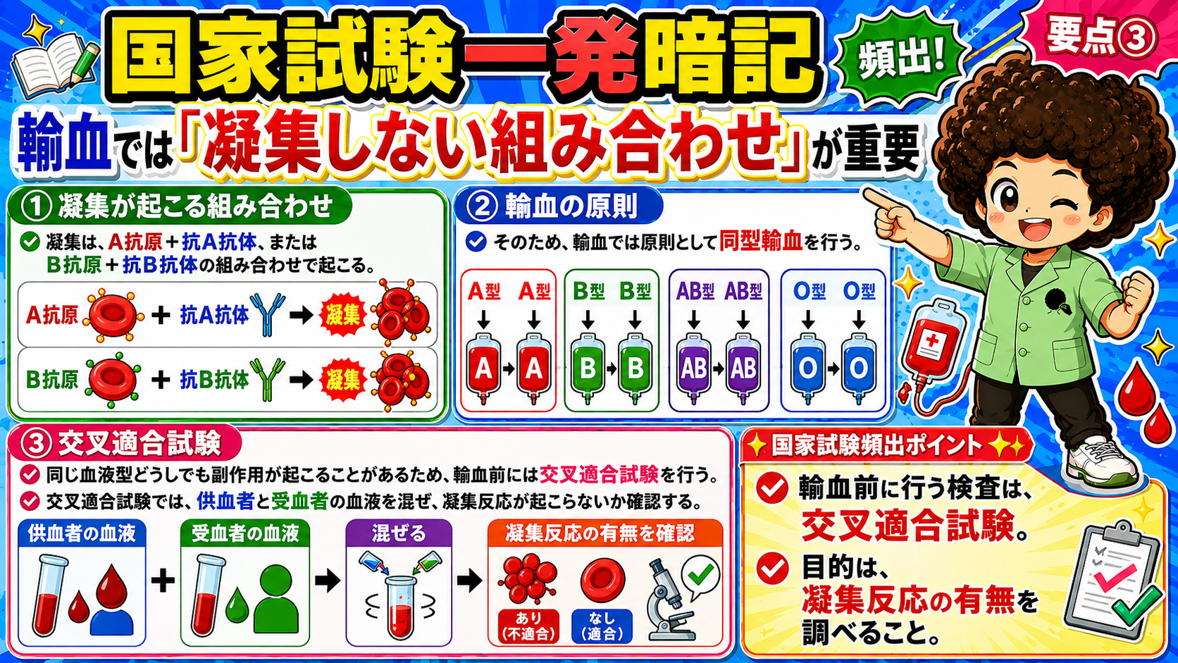 輸血の原則と交叉適合試験
