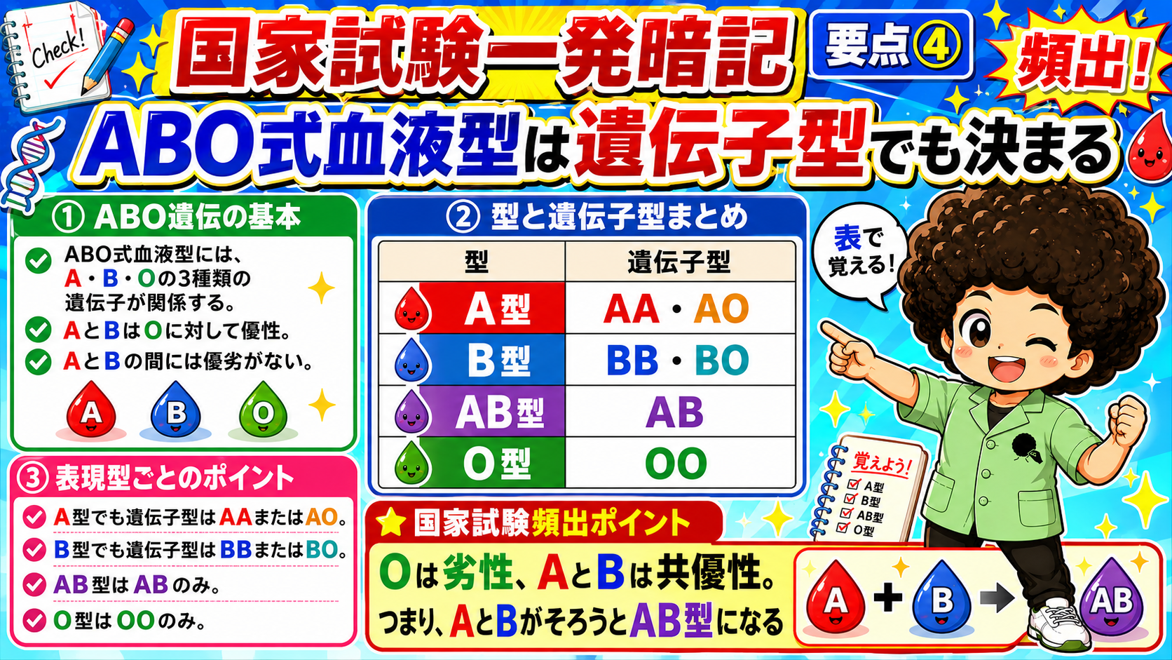 ABO式血液型の表現型と遺伝子型