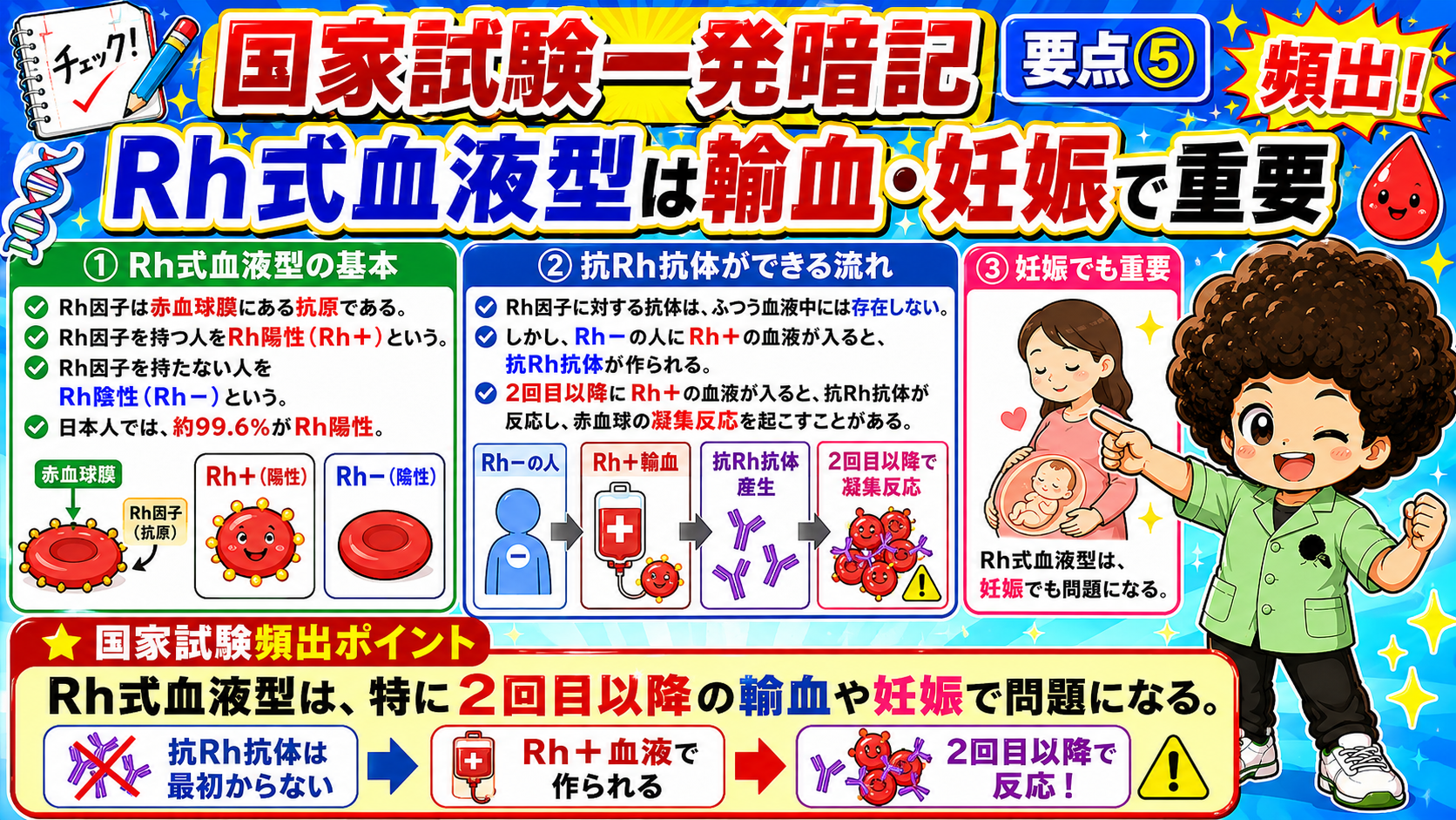 Rh式血液型と抗Rh抗体ができる流れ