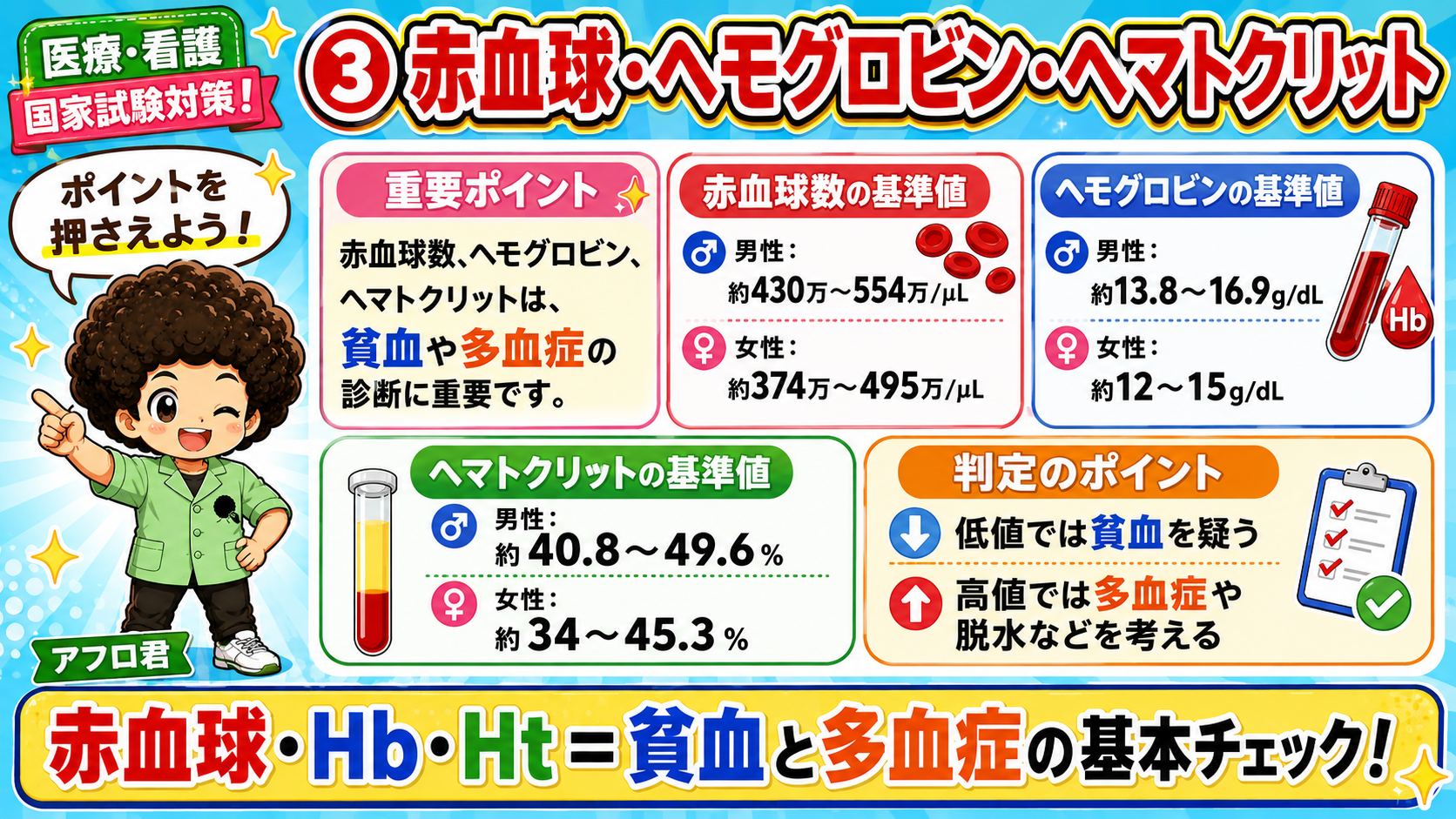 赤血球数・Hb・Htの基準値と判定のポイント