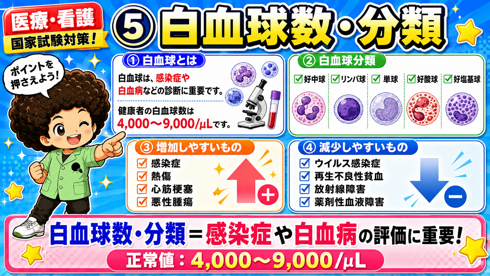 白血球数（4,000〜9,000/μL）と白血球5分類