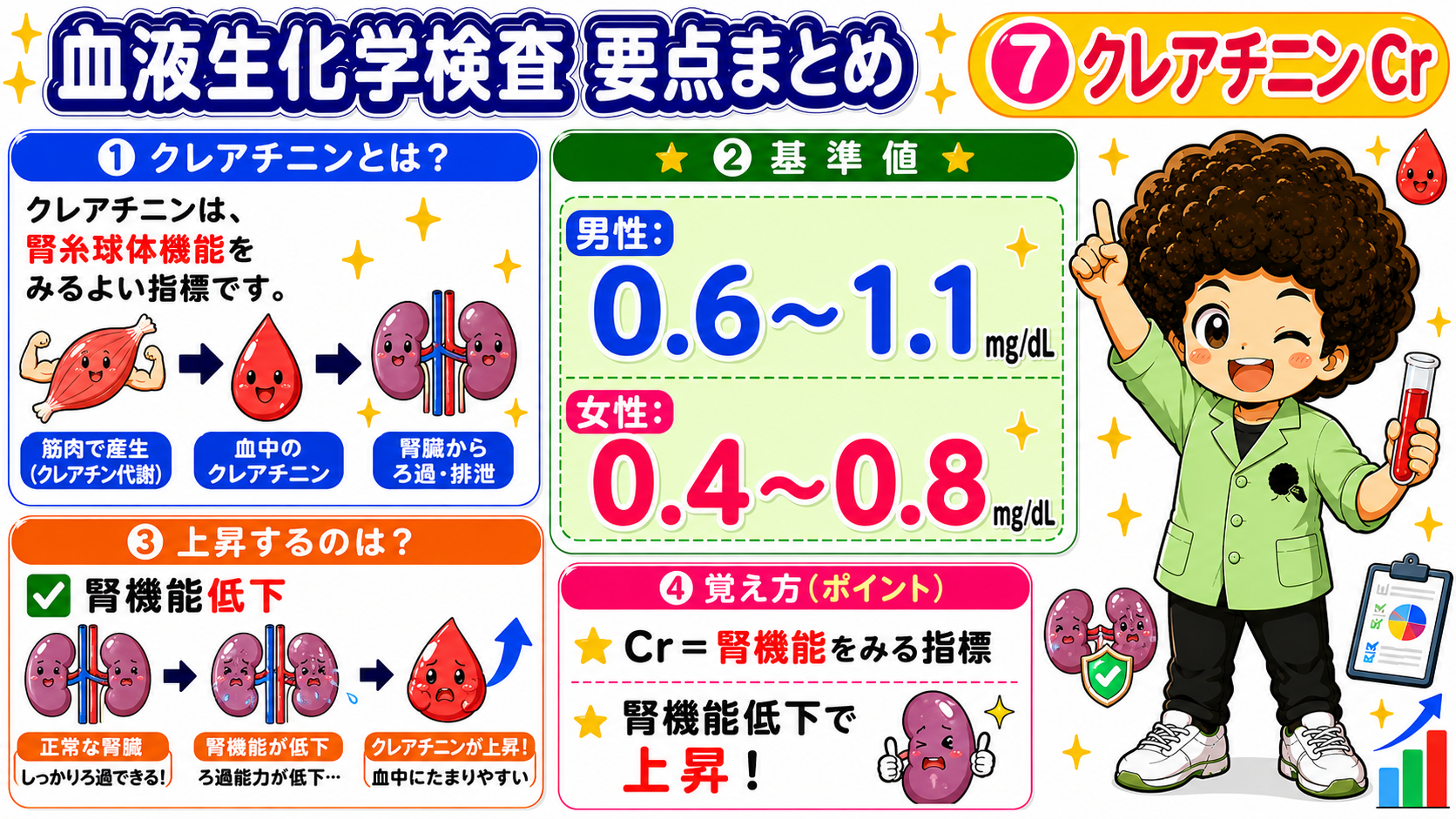 クレアチニンは腎糸球体機能をみるよい指標