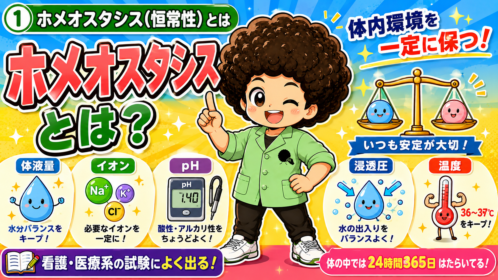 ホメオスタシス2｜ホメオスタシス2 1