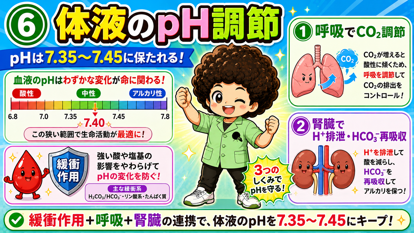 pHは緩衝作用＋呼吸＋腎臓の連携で7.35〜7.45にキープ