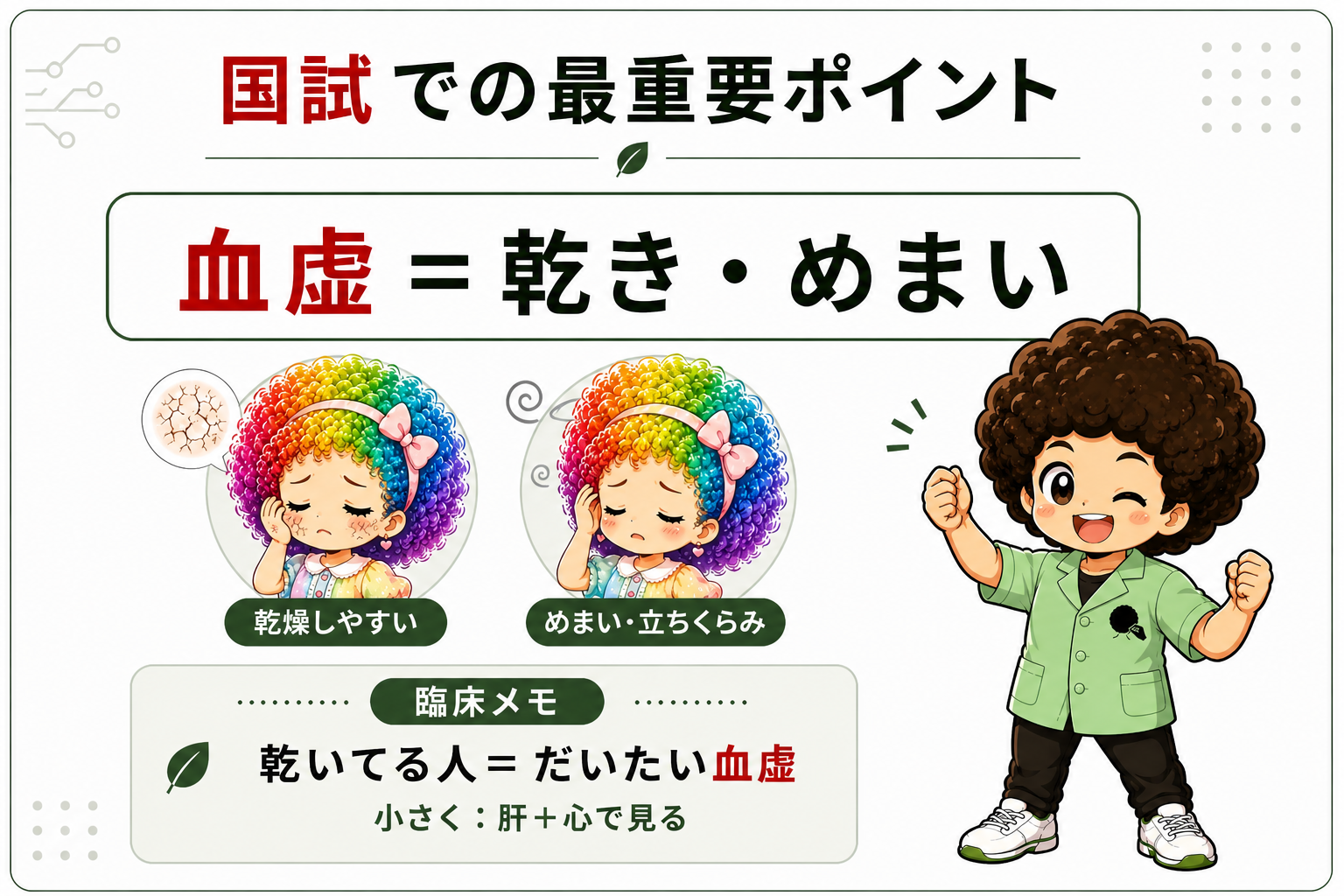 国試での最重要ポイント：血虚＝乾き・めまい