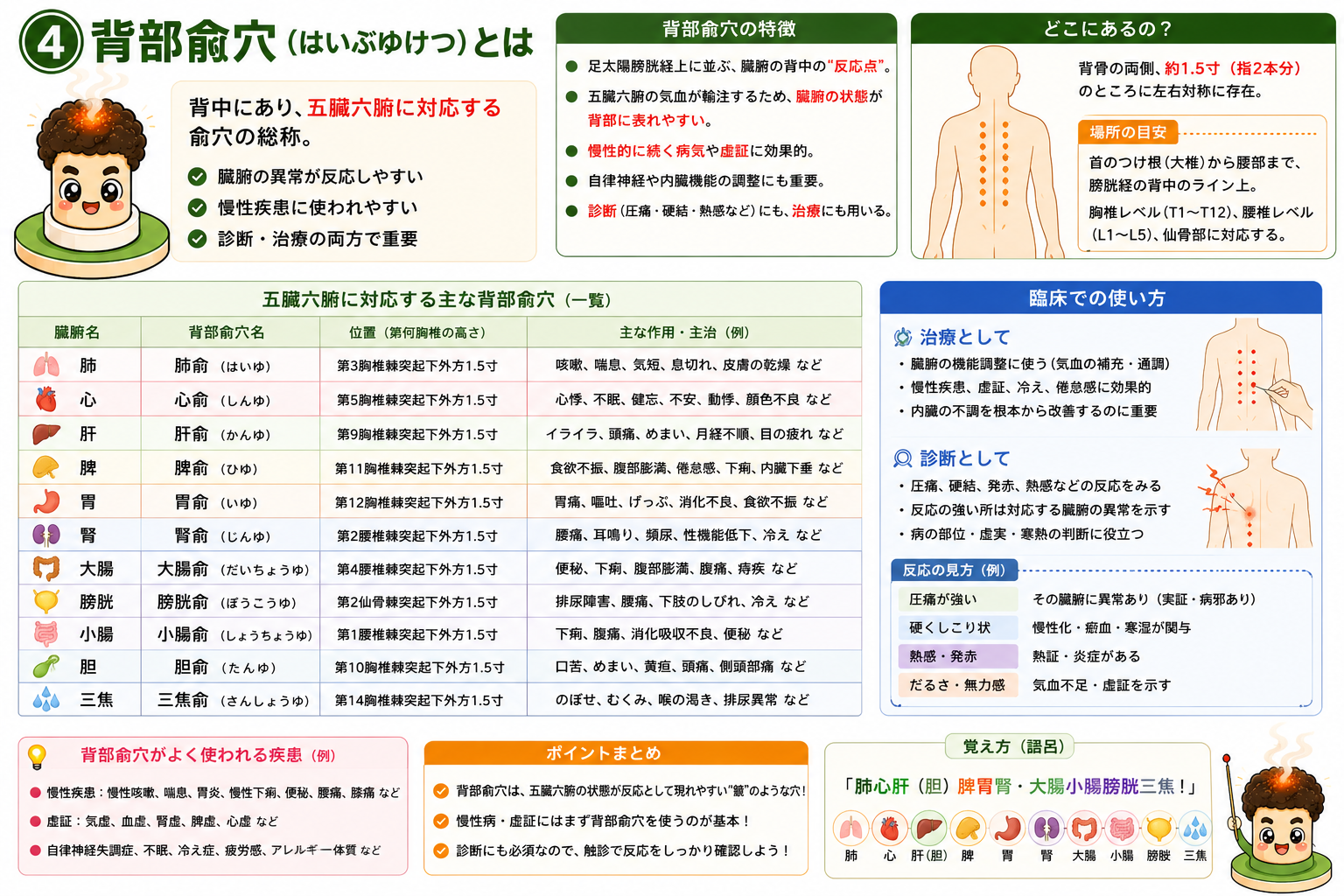 五臓六腑に対応する主な背部兪穴の一覧と、臨床での使い方