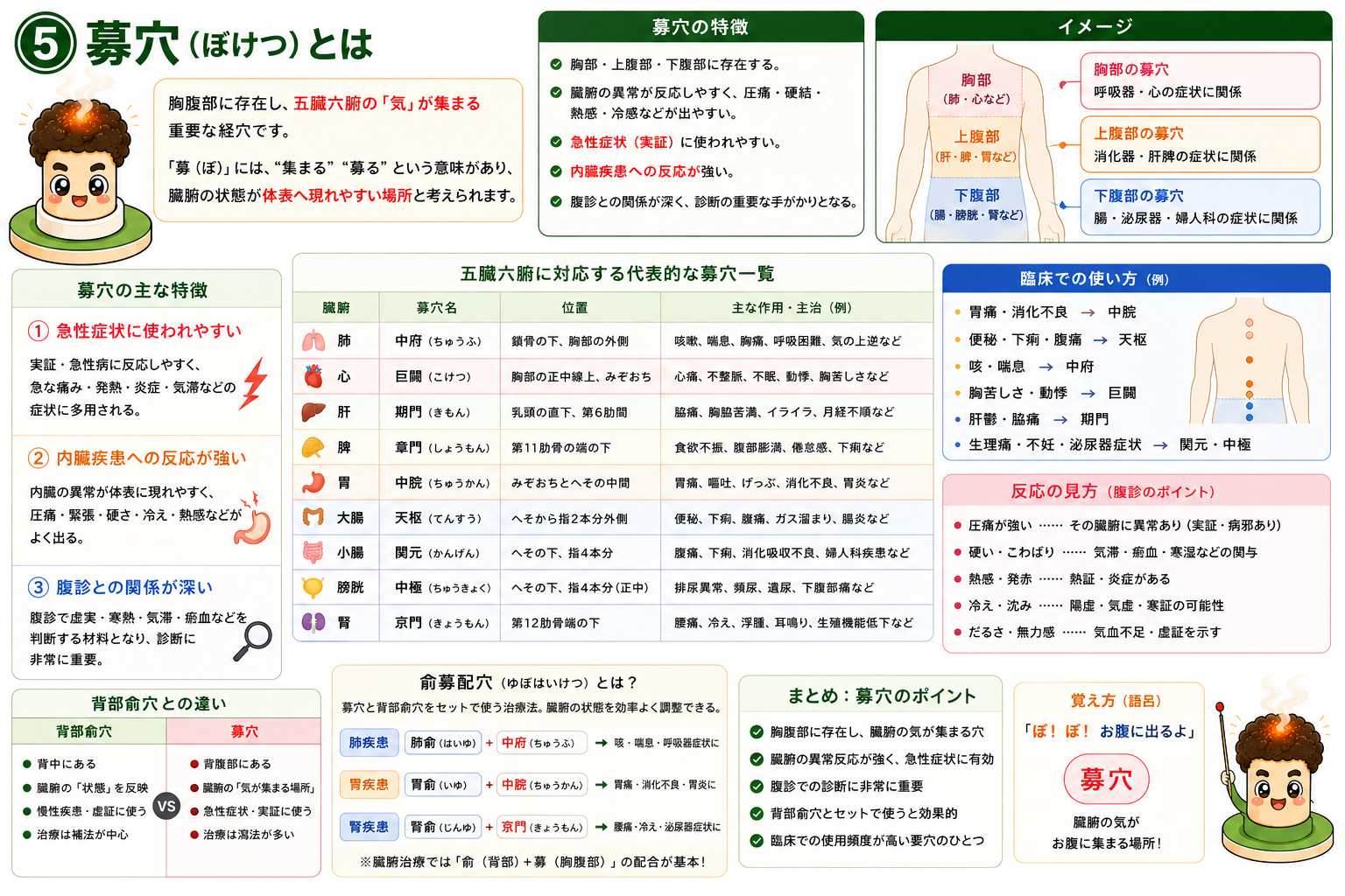 五臓六腑に対応する代表的な募穴一覧と、腹診での反応の見方