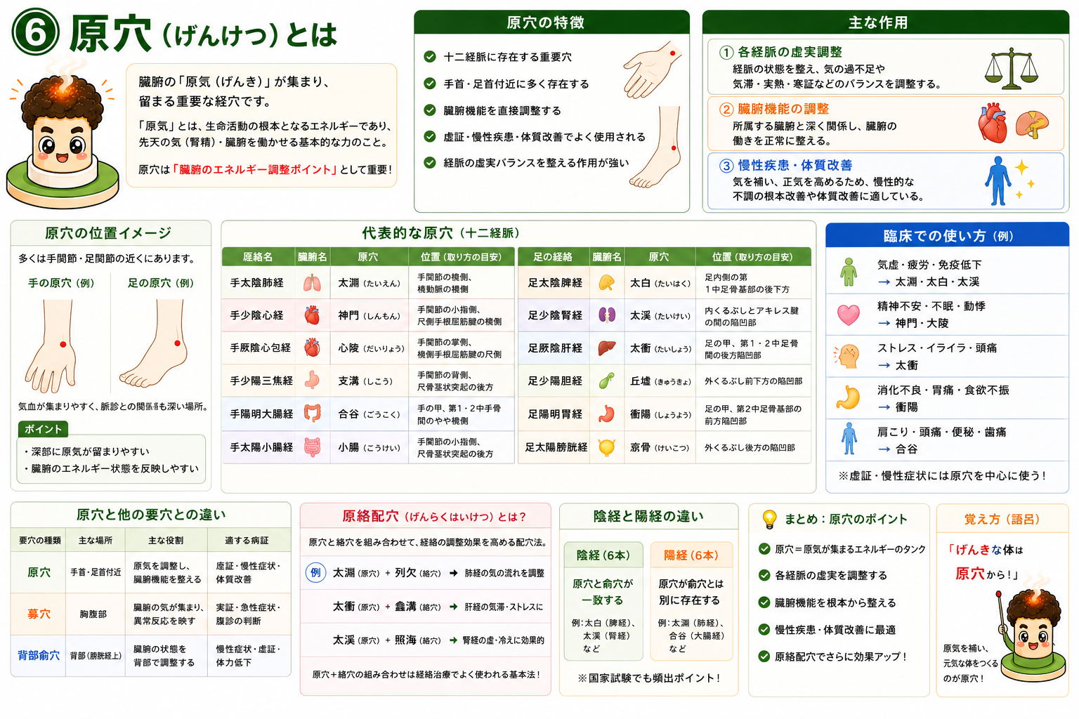 十二経脈の代表的な原穴一覧。多くは手関節・足関節の近くにある
