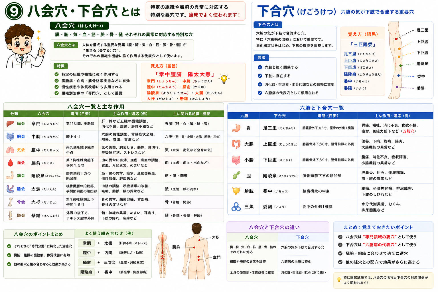 八会穴一覧と主な作用。「章中膻膈 陽太大懸」で覚える