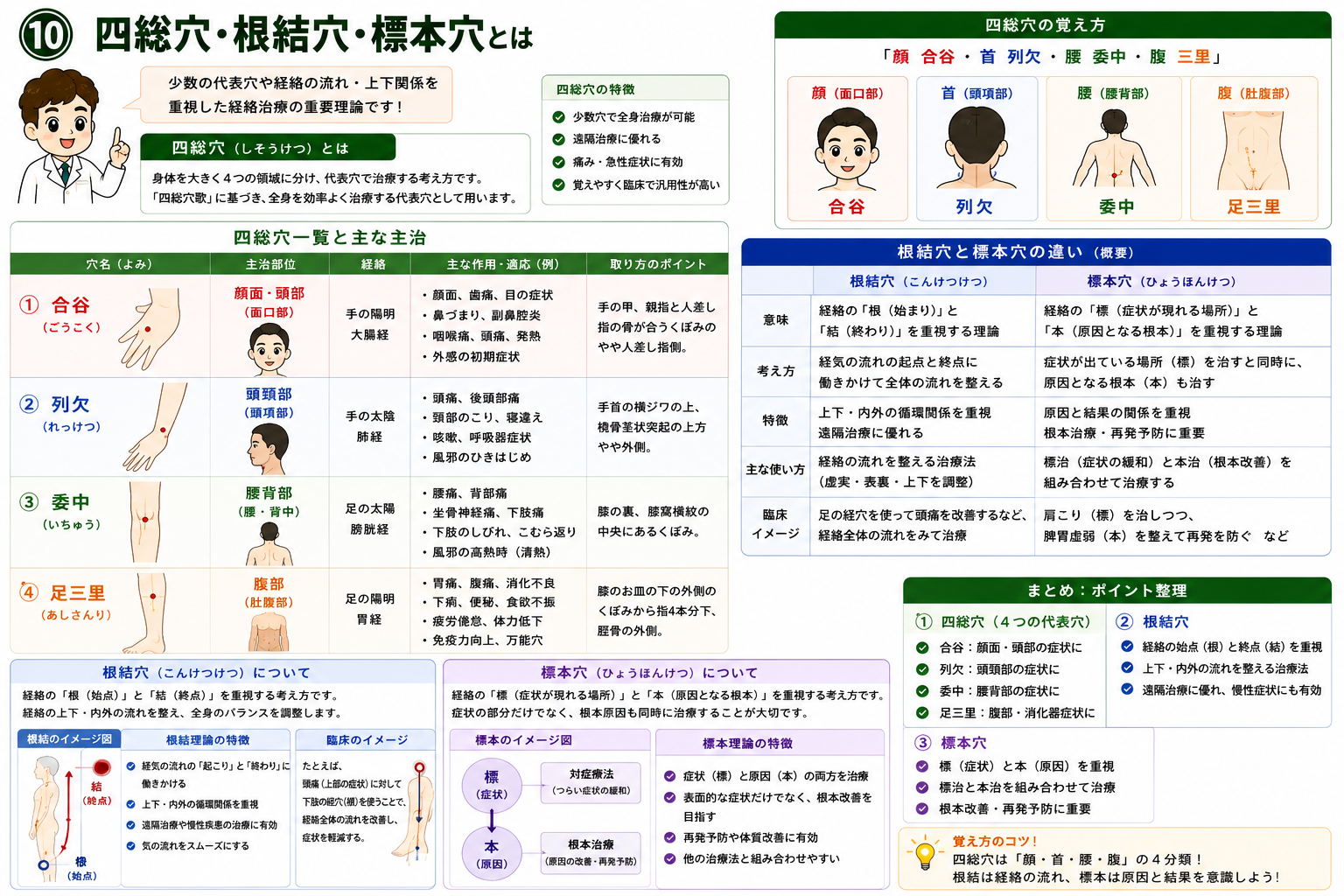 四総穴一覧と主な主治。「顔 合谷・首 列欠・腰 委中・腹 三里」で覚える