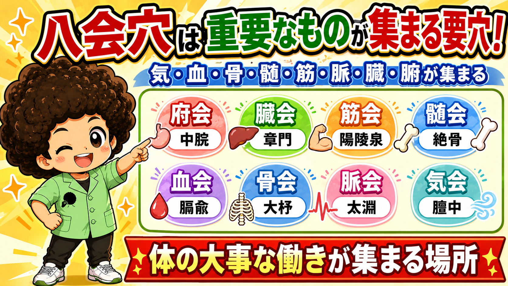 八会穴＝気・血・骨・髄・筋・脈・臓・腑が集まる要穴