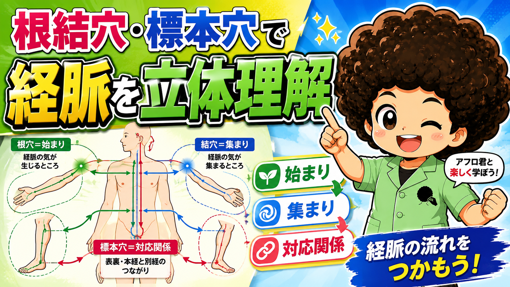 根結穴・標本穴で経脈を立体的に理解する
