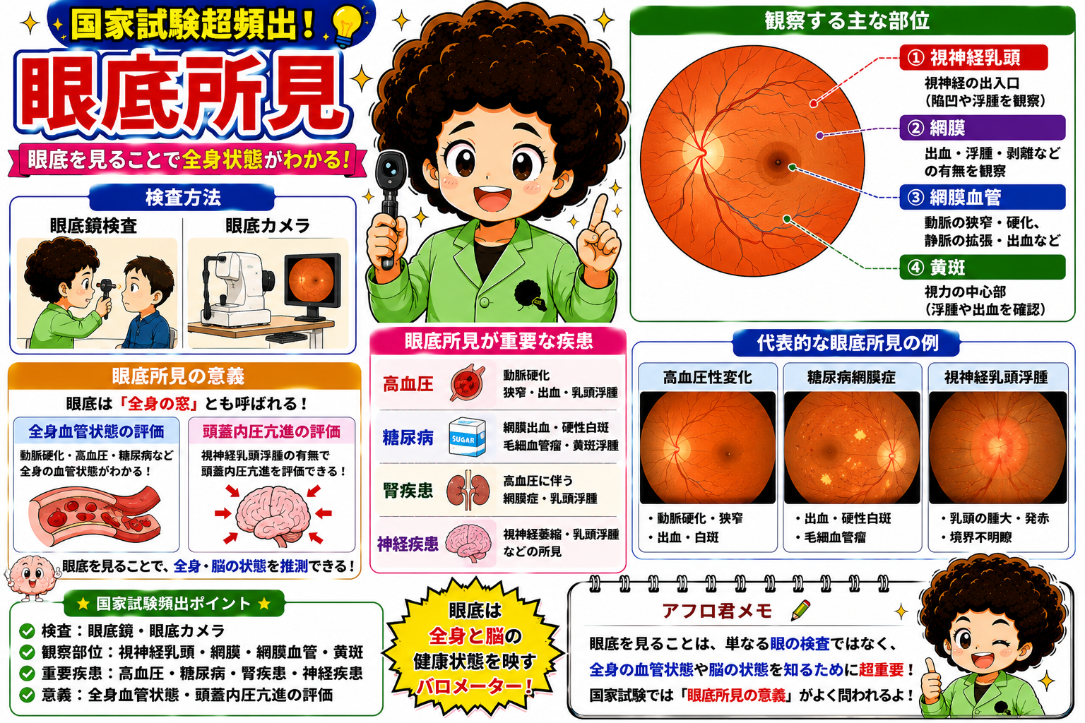 眼底所見の観察部位と代表的所見