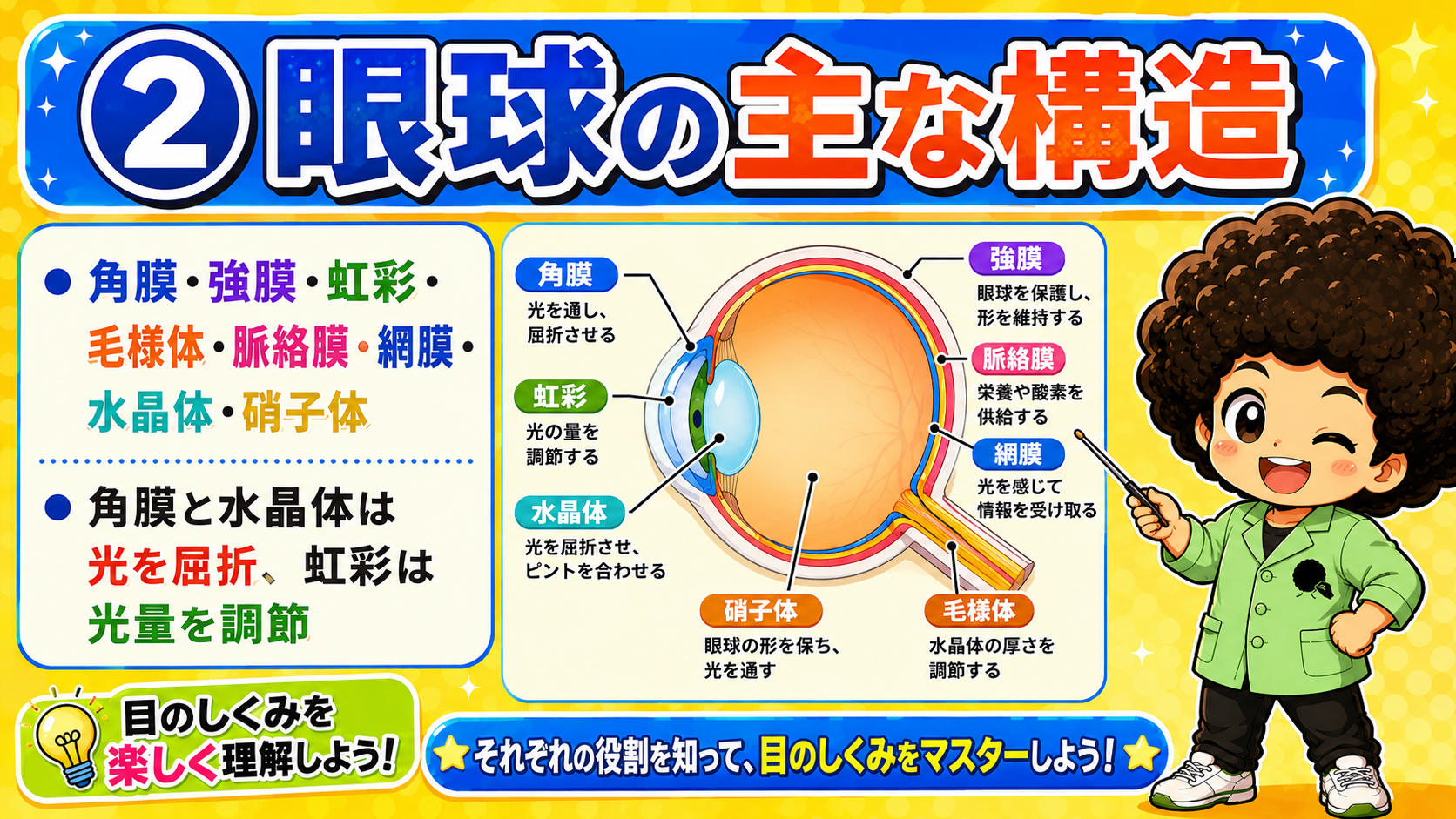 眼球の主な構造と各部のはたらき