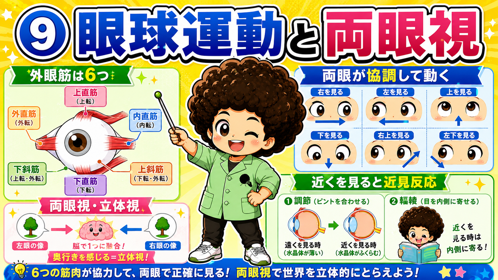 外眼筋は6つ。近見反応は「調節」と「輻輳」
