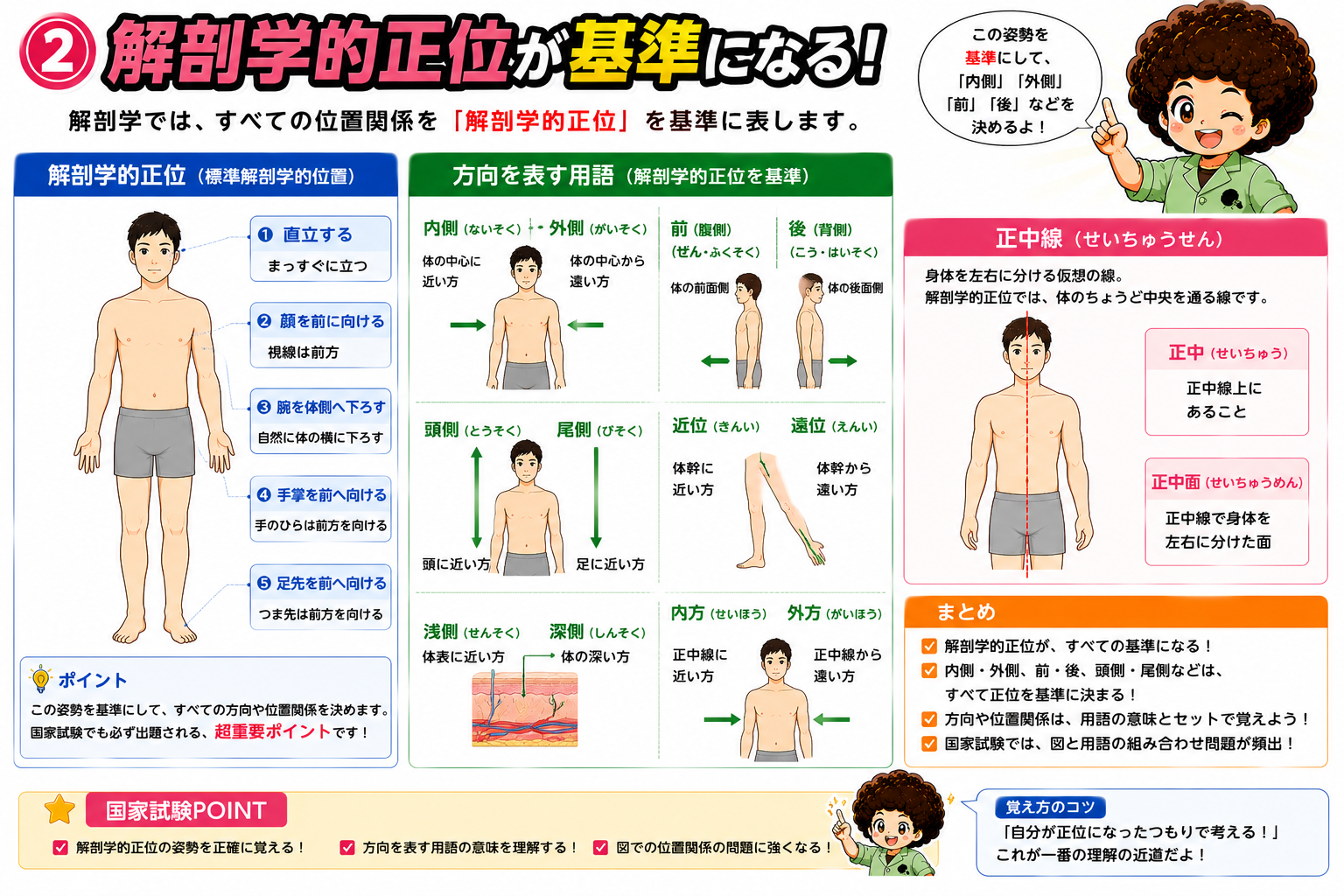 解剖学的正位（基準姿勢）と正中線・正中面