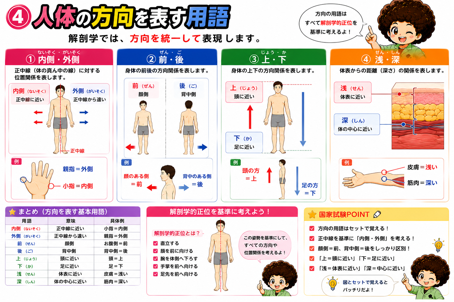 内側・外側／前・後／上・下／浅・深など方向を表す基本用語