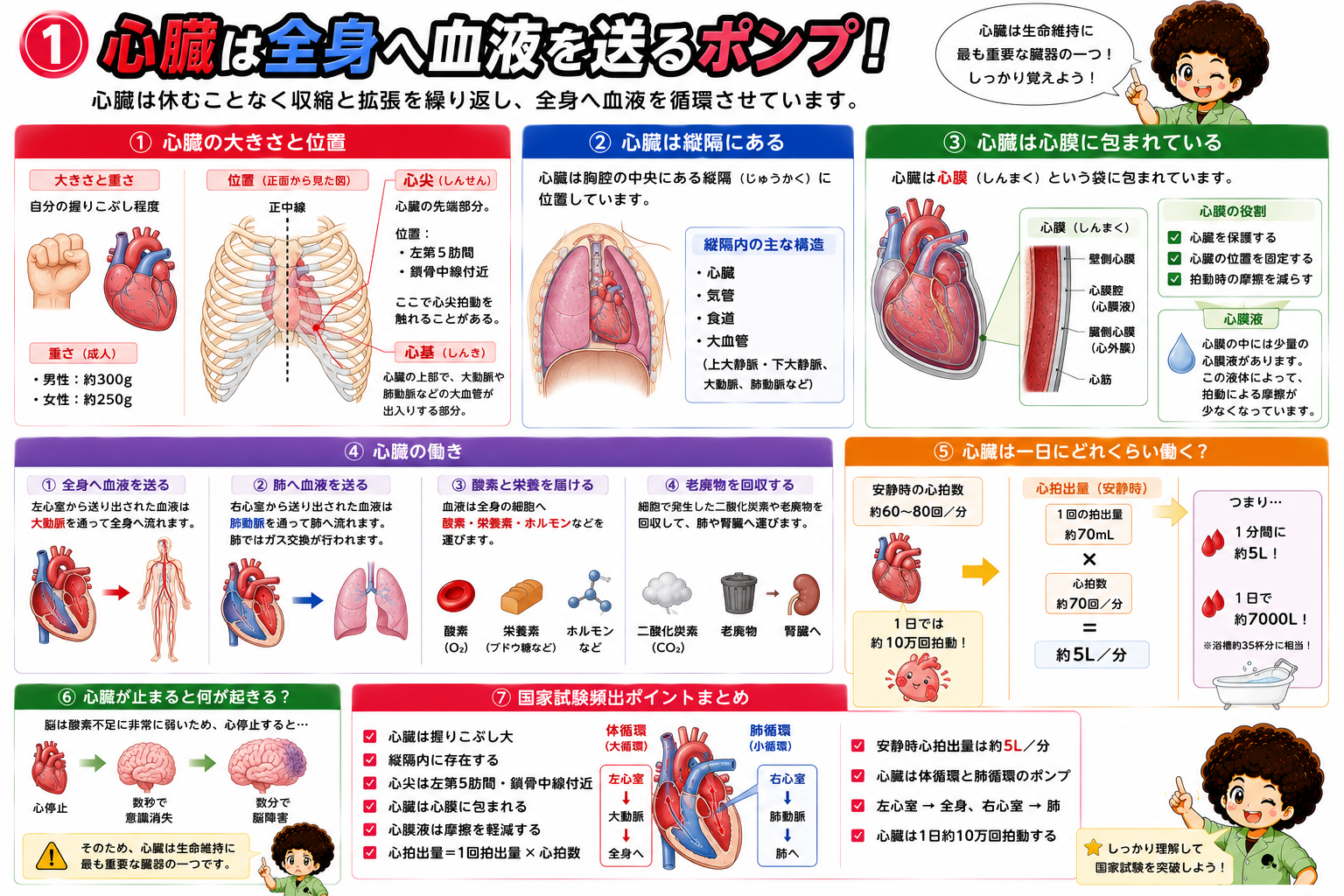 心臓｜心臓 1