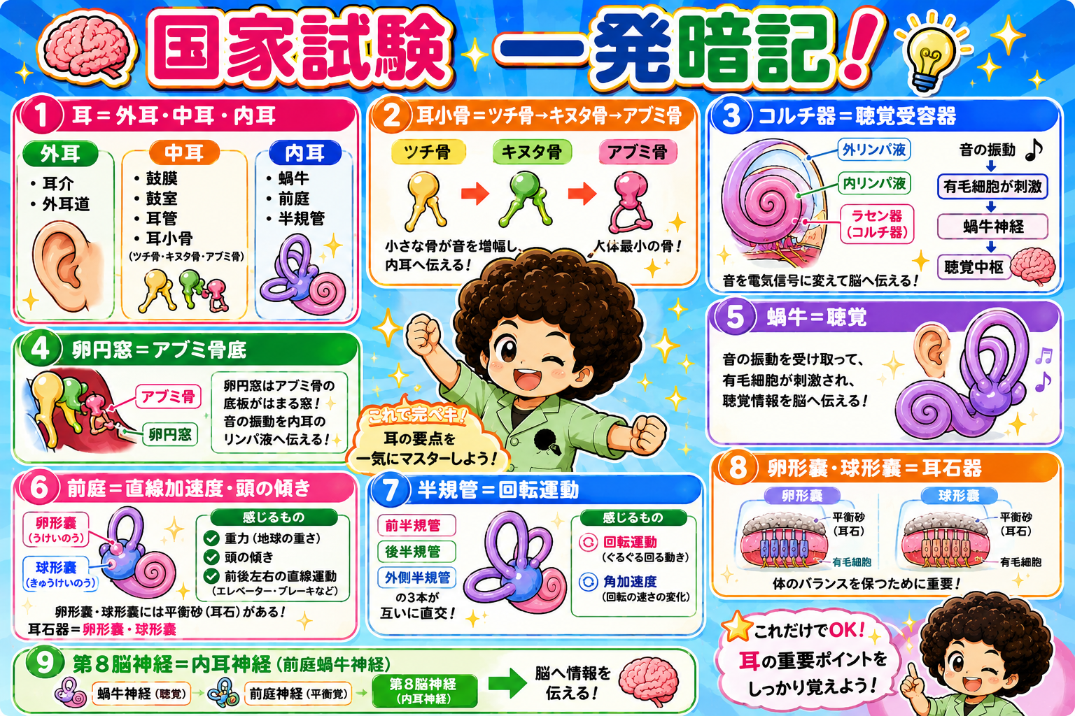 国家試験一発暗記まとめ