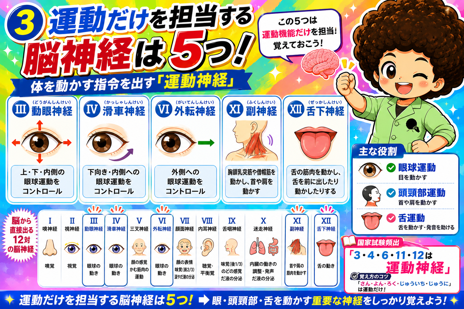 運動だけを担当する脳神経＝III・IV・VI・XI・XII
