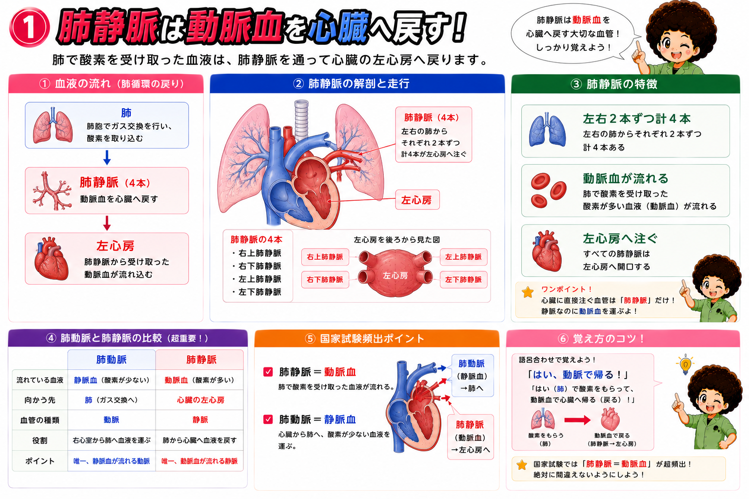 静脈｜静脈 1